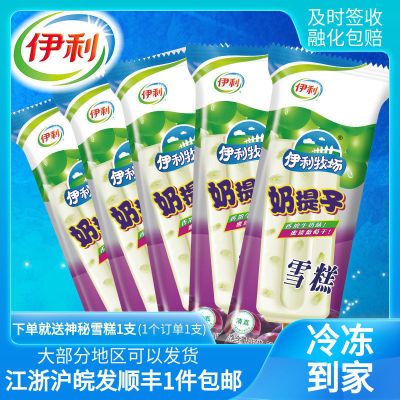 20支伊利雪糕奶提子冰淇淋小时候怀旧冷饮冰激凌广冻江浙沪皖 伊利奶提子20支