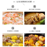 莹玉 3.9L黑色刻花汤煲309汤罐 砂锅炖锅家用燃气陶瓷明火汤煲耐热耐高温煲汤煮粥沙锅