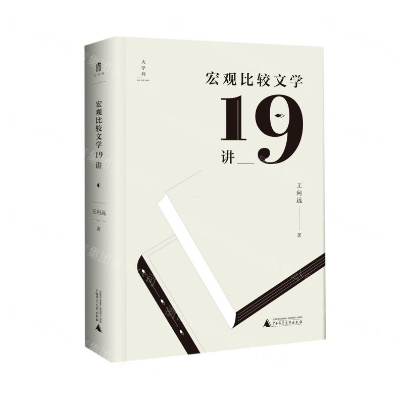 [N]宏观比较文学19讲-9787559830777高清大图