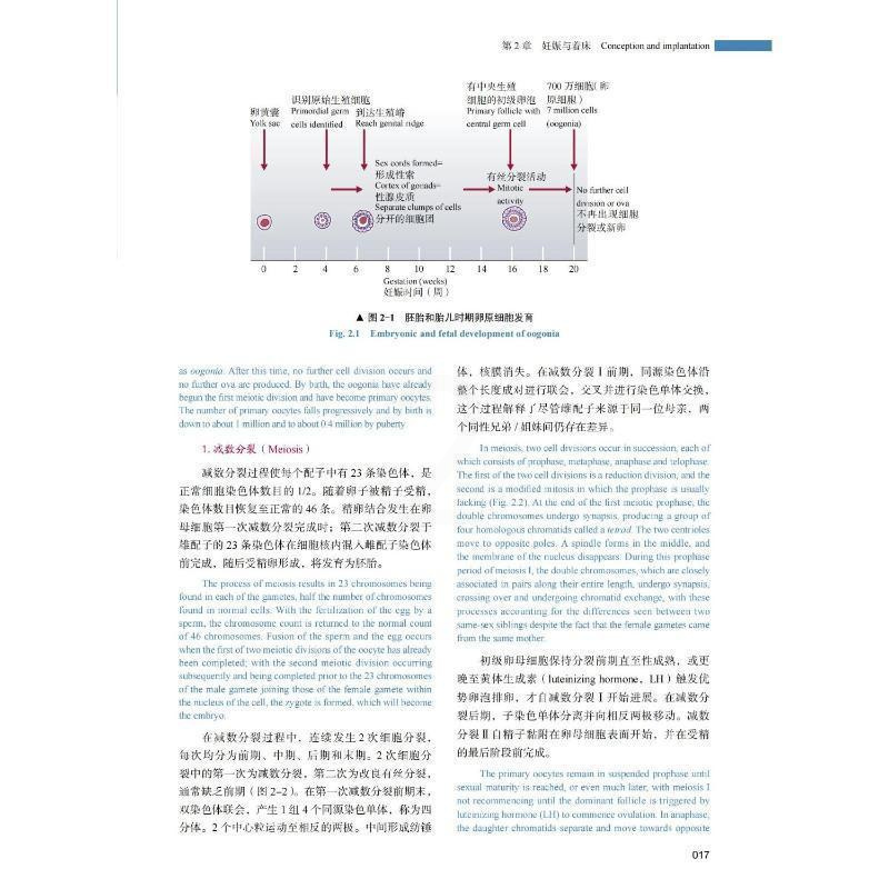 [正版]书籍 妇产科学(原书第6版·中英双语) 中国科学技术出版社 医药卫生 9787504698926