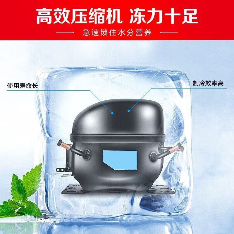星星(XINGX)BCD-270GCT家用商用双温冰柜铜管大容量冷冻柜单温卧式小冰柜家用小型冷柜保鲜冷藏高清大图