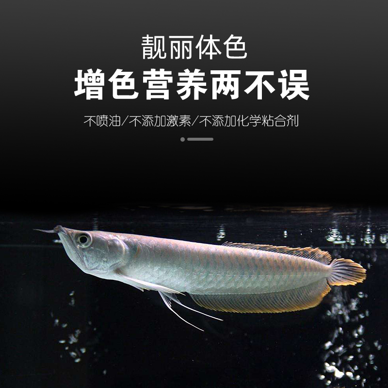 鱼食银龙鱼饲料专用鱼食金龙鱼地图鱼鱼粮中大型鱼面包虫颗粒增色高清大图