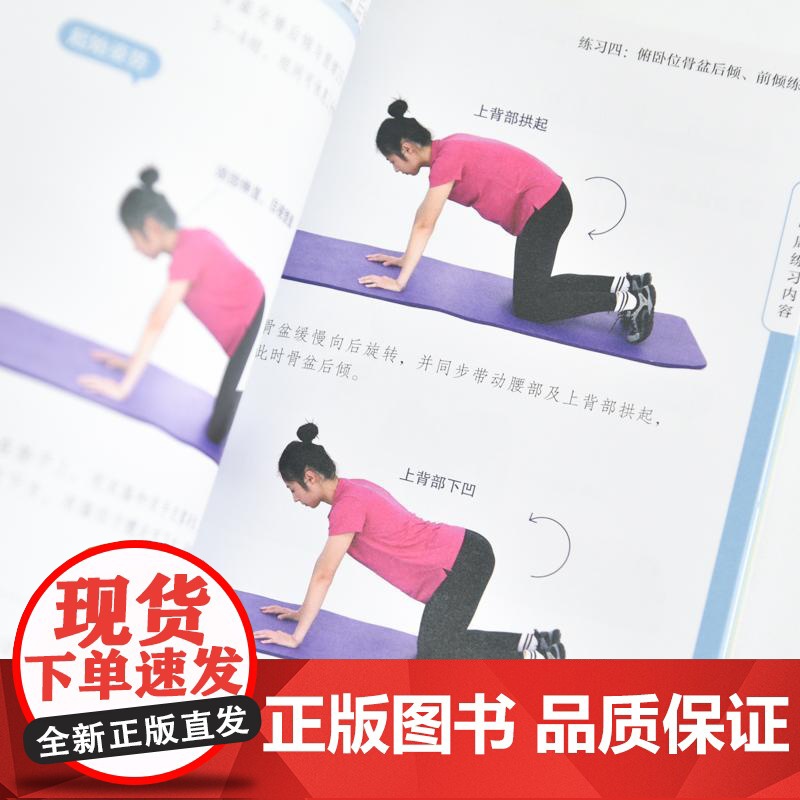 骨盆前倾自救 28天有效改善腰痛 小腹凸出与假胯宽 盆底觉醒高清大图