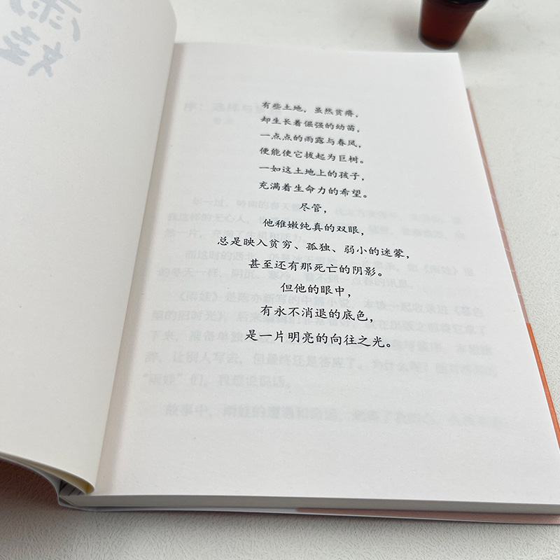 雨娃 [正版]丨雨娃 陈亦新著 让孩子内心成长的故事书 以孩子的视角了解中国西部农村 本土原创儿童文学 适合中国儿童青少高清大图