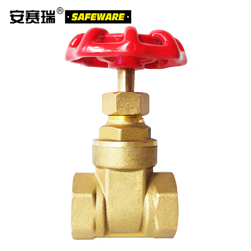 安赛瑞(SAFEWARE)黄铜闸阀 国标铜闸阀 内螺纹闸阀 全铜双内丝闸阀 自来水闸阀门 DN40 1.5寸 ZM