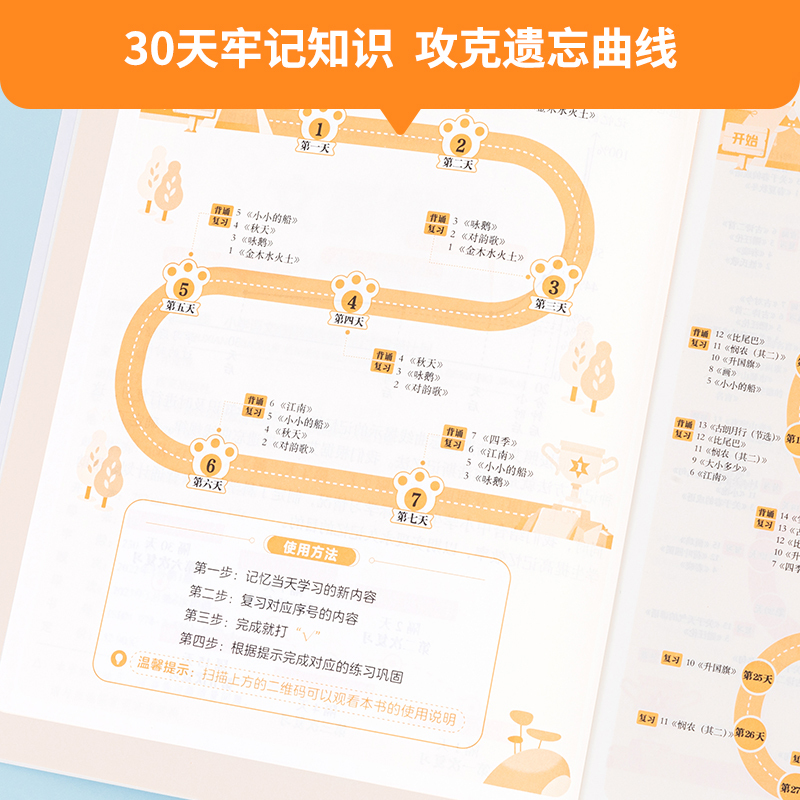 小学英语语法 小学通用 [正版]艾宾浩斯记忆曲线小学语文必背课内知识打卡背诵计划语文课内知识大全小学生练习本默写复习计划