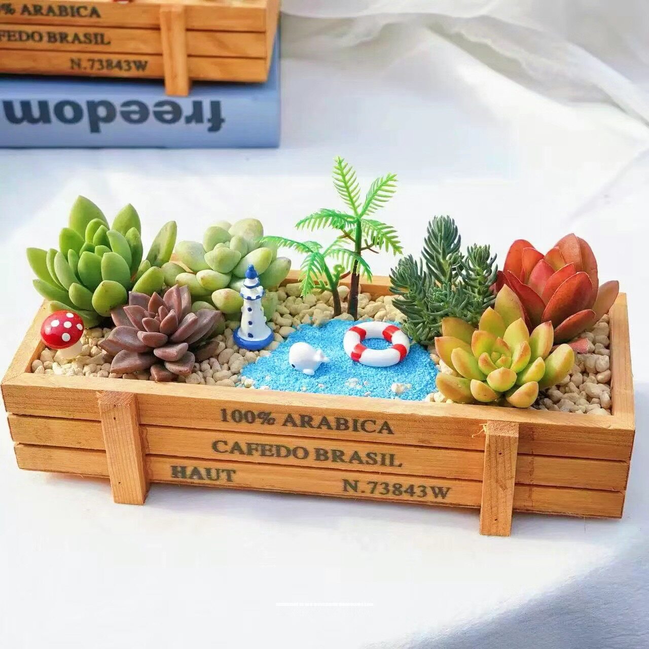 iChoice 多肉植物组合盆栽含盆含土创意diy拼盘花盆肉肉植物室内绿植花卉 沙滩绿洲