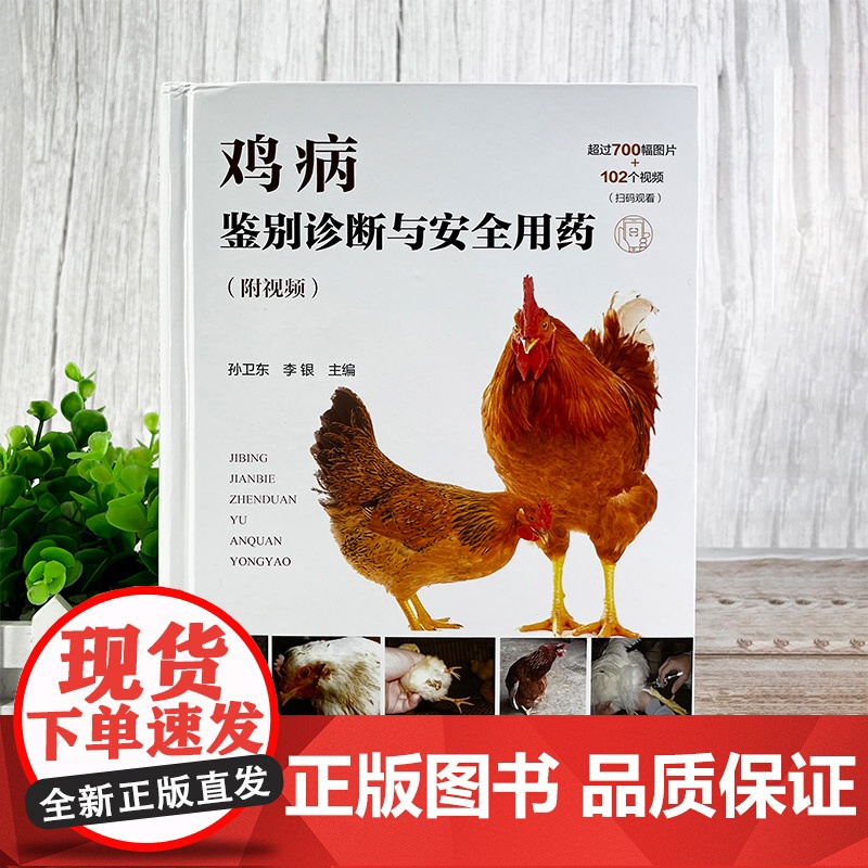 鸡病鉴别诊断与安全用药 附视频 鸡病防治类似疾病鉴别及安全用药综合工具书 鸡病鉴别诊断用药 鸡场兽医 养鸡专业大户应用参高清大图