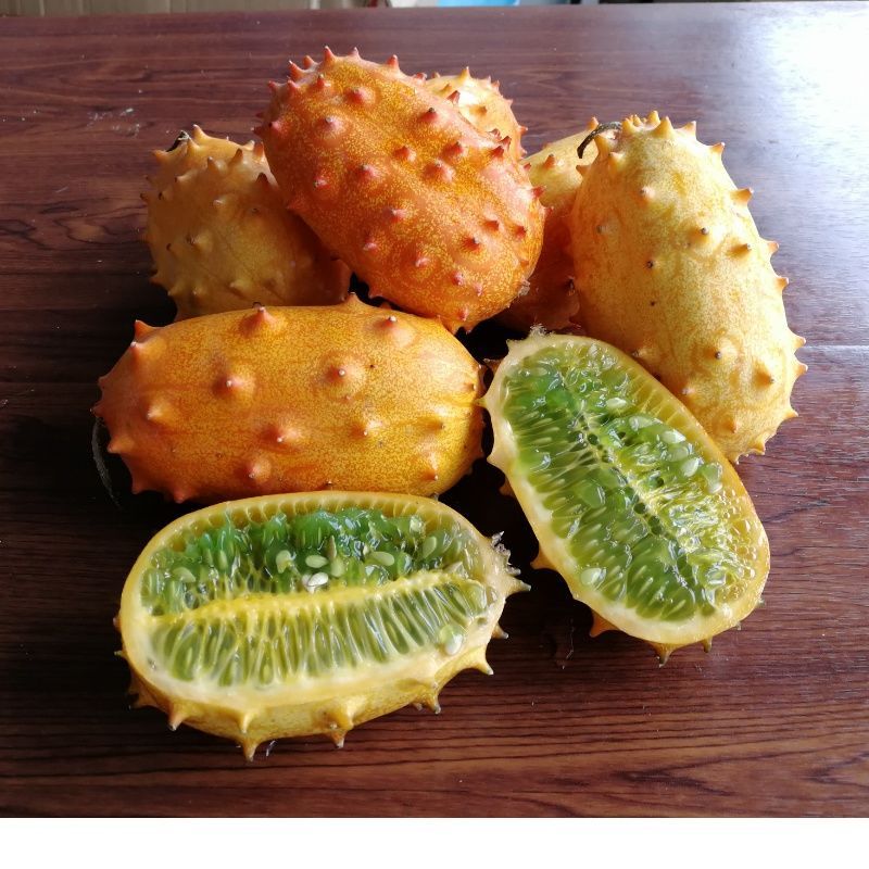 赛卡伊火参果新鲜灭霸果老人刺角瓜下火罕见奇异水果应季火星果视频