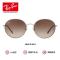 RayBan雷朋2019年春夏太阳眼镜圆形时尚渐变色墨镜0RB3612D 002/11黑色镜浅灰色渐变深灰色镜片尺寸