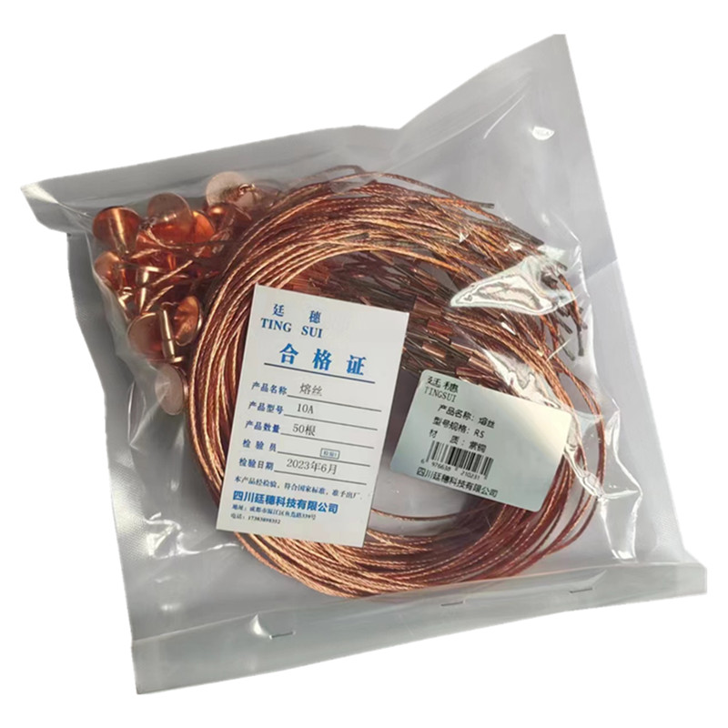 廷穗(TINGSUI)熔丝保险丝 10/5A