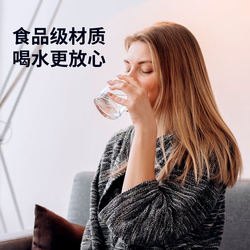 西屋(WESTINGHOUSE) 迷你小型台式桌面桶装水速热饮水机 WFH-S4高清大图
