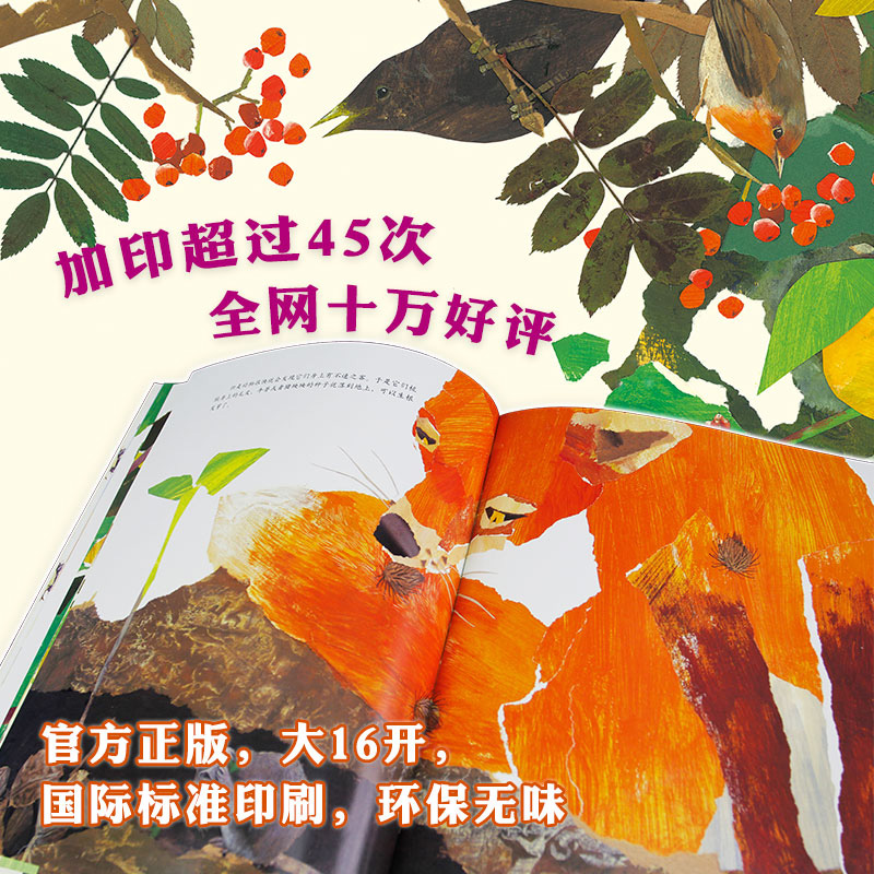 [3册]牵牛花+向日葵+蒲公英 [正版]一粒种子的旅行 小学生基础阅读书目 德国青少年科普 大 向京 自然 植高清大图