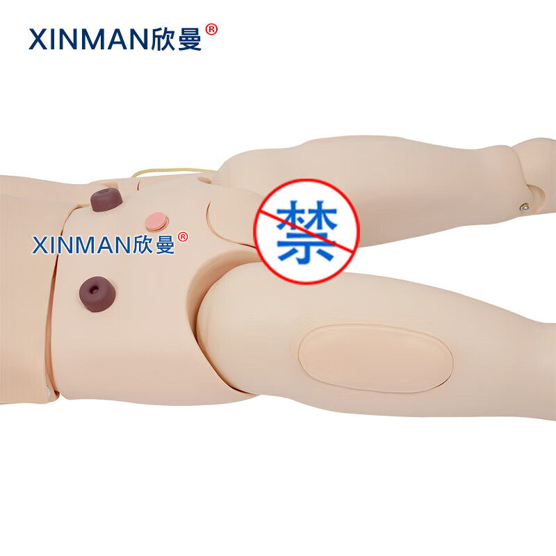 欣曼科教 高级成人护理及CPR模拟人 全功能护理人模型XM-HL3000高清大图