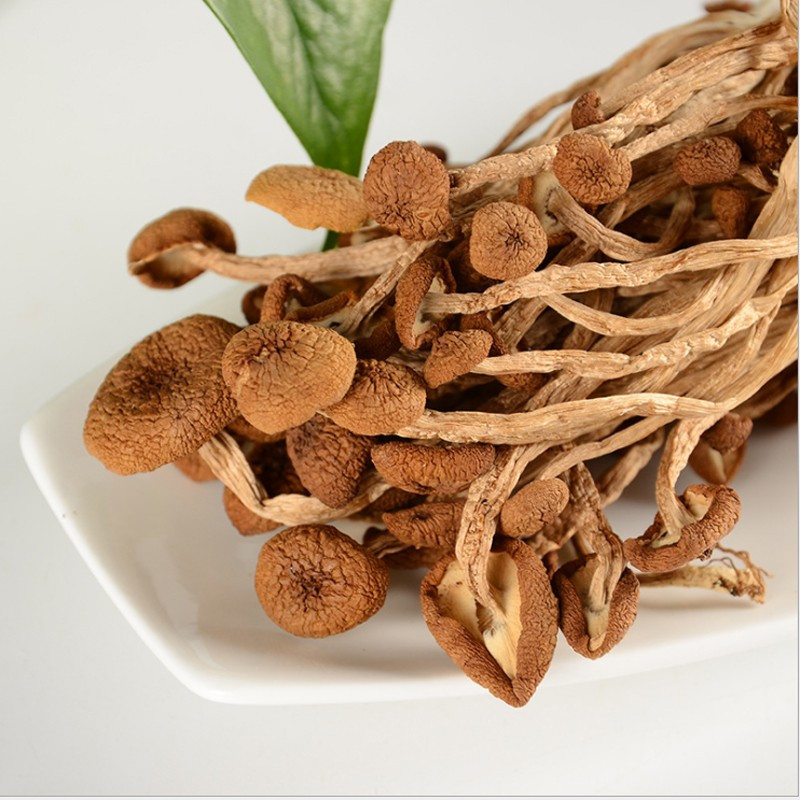 状元特级茶树菇160g 袋装