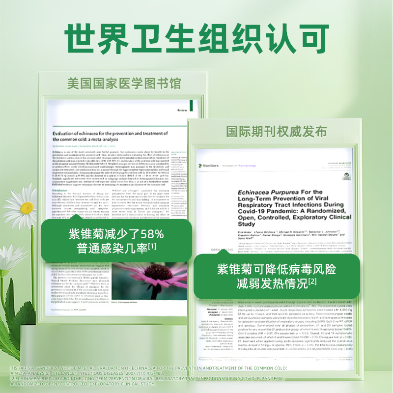 童年时光ChildLife 紫锥菊滴剂 30ml/瓶 6瓶高清大图