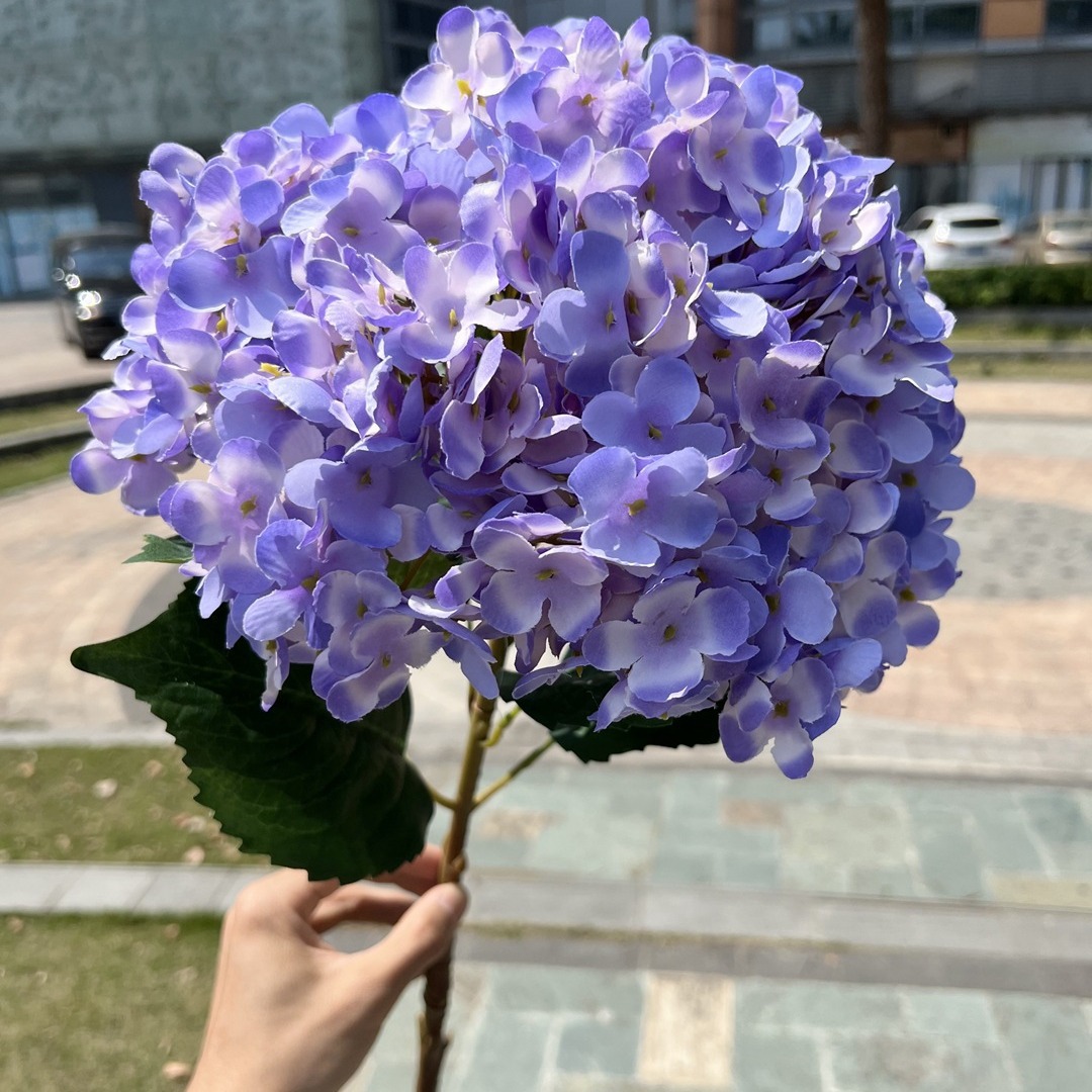 小窝厘 高仿真大绣球花特大单头莱茵绣球假花装饰 单个花头直径30cm 香槟高清大图