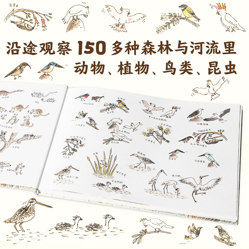 醉染图书克兰西去漂流97875217160高清大图