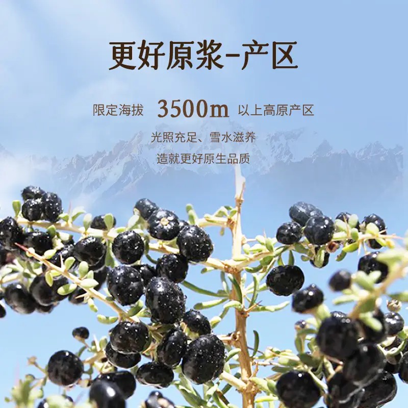 百瑞源黑枸杞原浆400ml 50ml*8瓶/盒高清大图