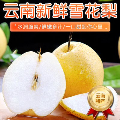 【西沛生鲜】云南新鲜雪花梨 净重5斤 大果 单果200g+ 新鲜脆梨水果当季现摘现发雪花梨孕妇水果头茬新果