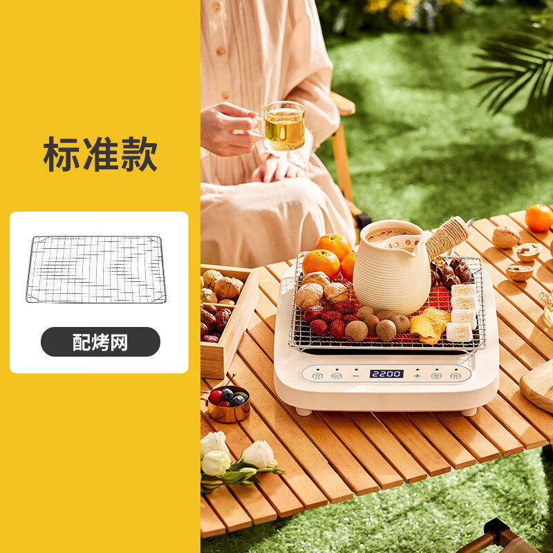 摩动电陶炉家用多功能迷你小型大功率爆炒菜火锅电磁炉围炉煮茶器MD-DTL01标准款(配烤网)