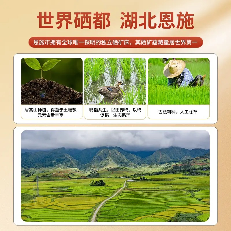邻家饭香 高山农家香米 2.5kg/袋 真空双层包装 FP69_高清大图