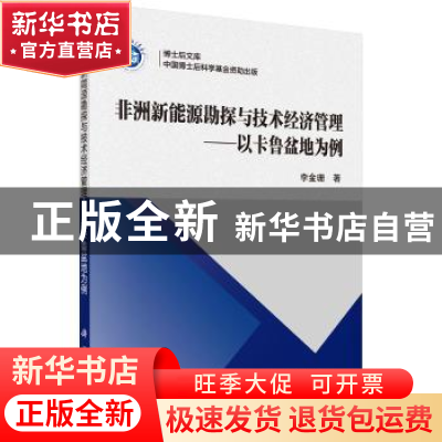 正版 非洲新能源勘探与技术经济管理:以卡鲁盆地为例 李金珊著 科