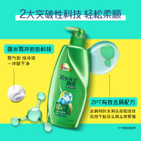 飘柔滋润去屑洗发露750ml (头发护理 控油平衡 洗发水洗头膏花香调 苏宁自营)