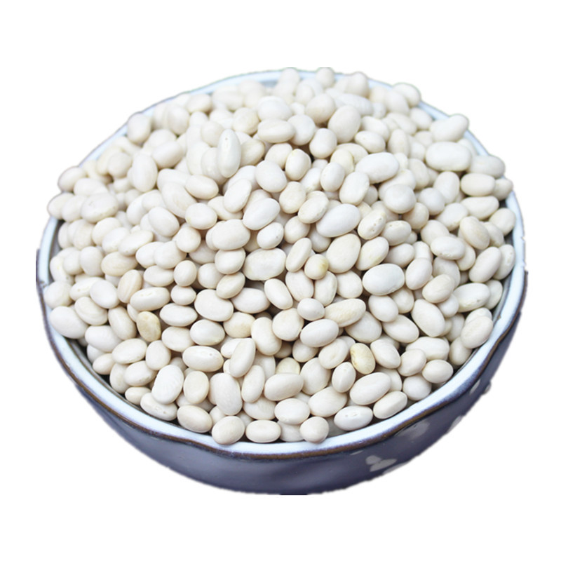 珍珠豆1500g云南农家自种小白芸豆白豆炖菜煲汤豆类粗粮五谷杂粮