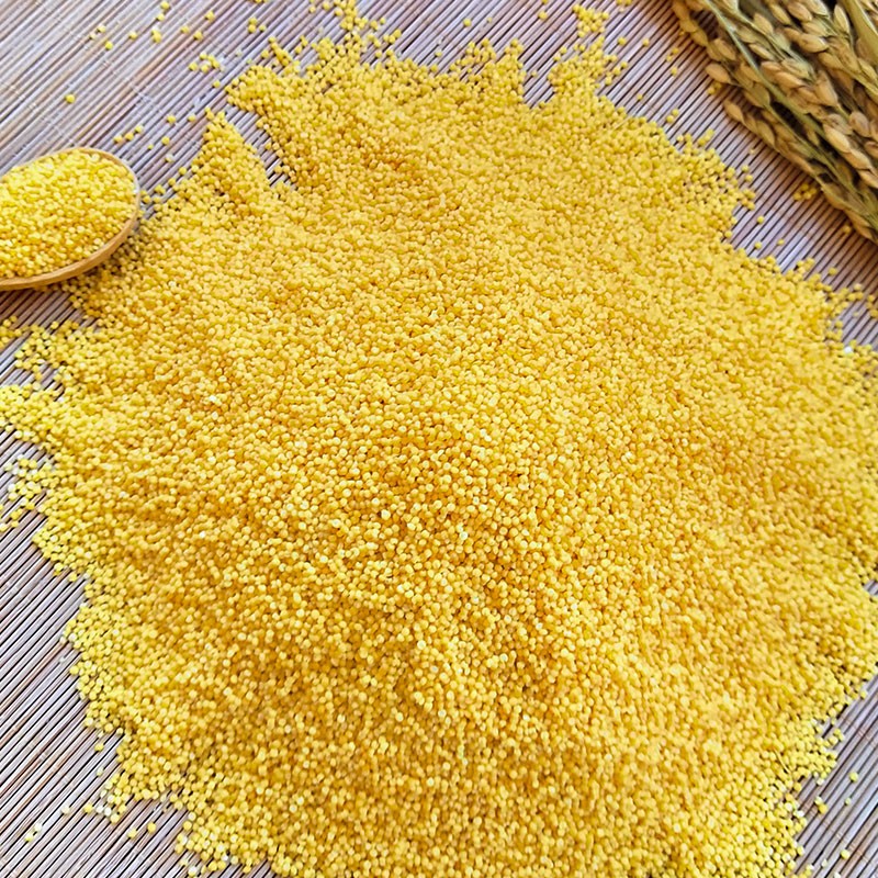 天地粮人 东北红谷子小米 礼袋装 350g*5包 袋高清大图