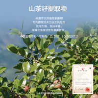 JLGJ 蕉蓝国际抑菌弱酸净柔香氛洗手液柠檬300ml 低泡易清洁 轻柔净透 洁净柔滑