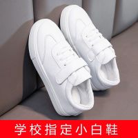 儿童小白鞋女童网鞋男童板鞋新款中大童透气白色小学生休闲运动鞋 29码17.2cm 全白皮面飞机头款