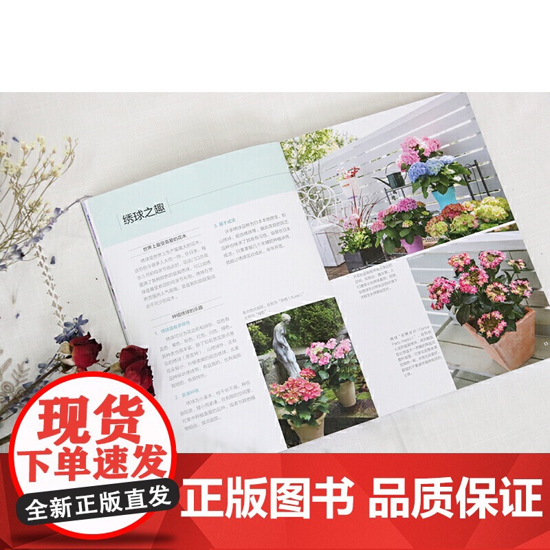 绣球12月栽培笔记 正版书籍高清大图