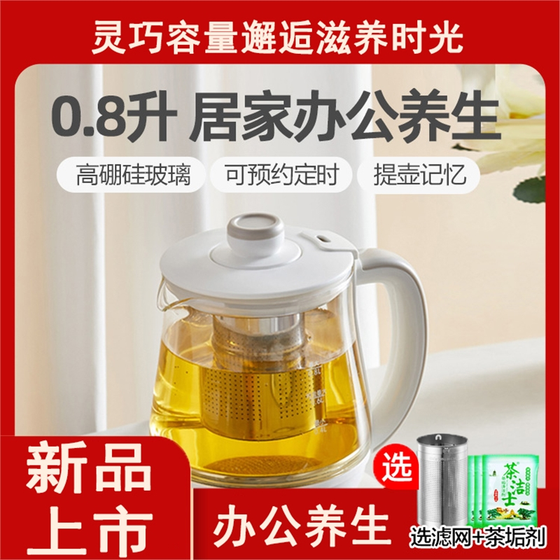 小熊(bear)养生壶办公室小型全自动家用花泡茶器