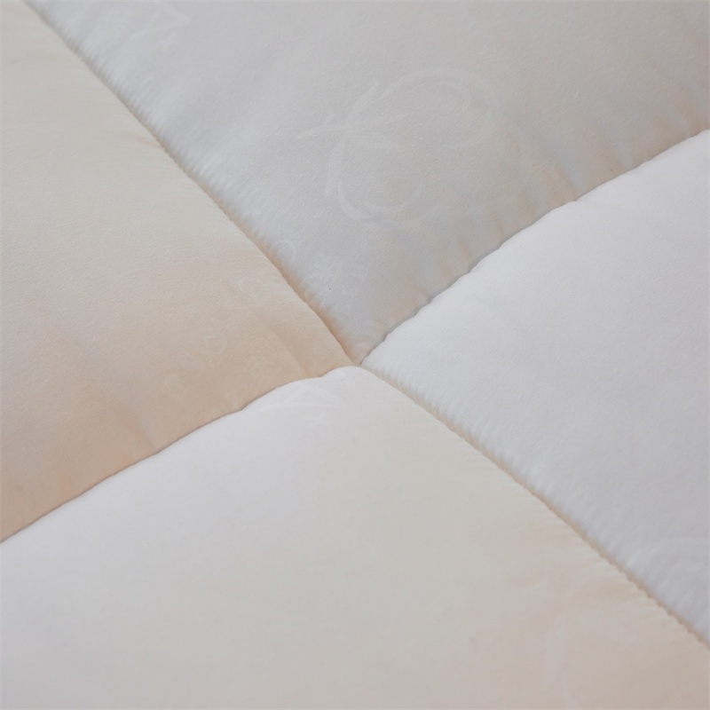 枂承褥子200*220cm5cm厚床高清大图