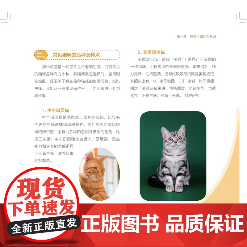 宠物犬猫饲养一本通 上海科学技术出版社刘惠莉宠物品种起源习性行为解析科普活动科学饲养高清大图