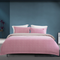 悦达家纺(YUEDA HOME TEXTILE)全棉磨毛绣花四件套 简意200*230cm