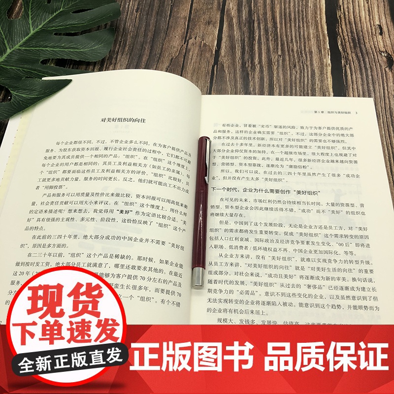 首席组织官:从团队到组织的蜕变 房晟陶 左谦 樊莉 机械工业出版社 正版书籍高清大图