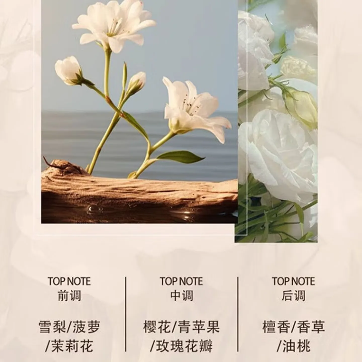 舒蕾柠檬草洗发露-800ml*1瓶高清大图
