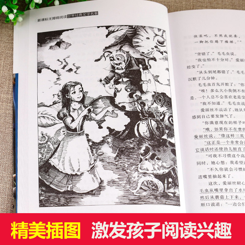 [正版]爱丽丝漫游奇境 六年级老师 爱丽丝漫游奇境记原著书下必读课外书 爱丽丝梦游仙境下册 课外阅读书籍高清大图