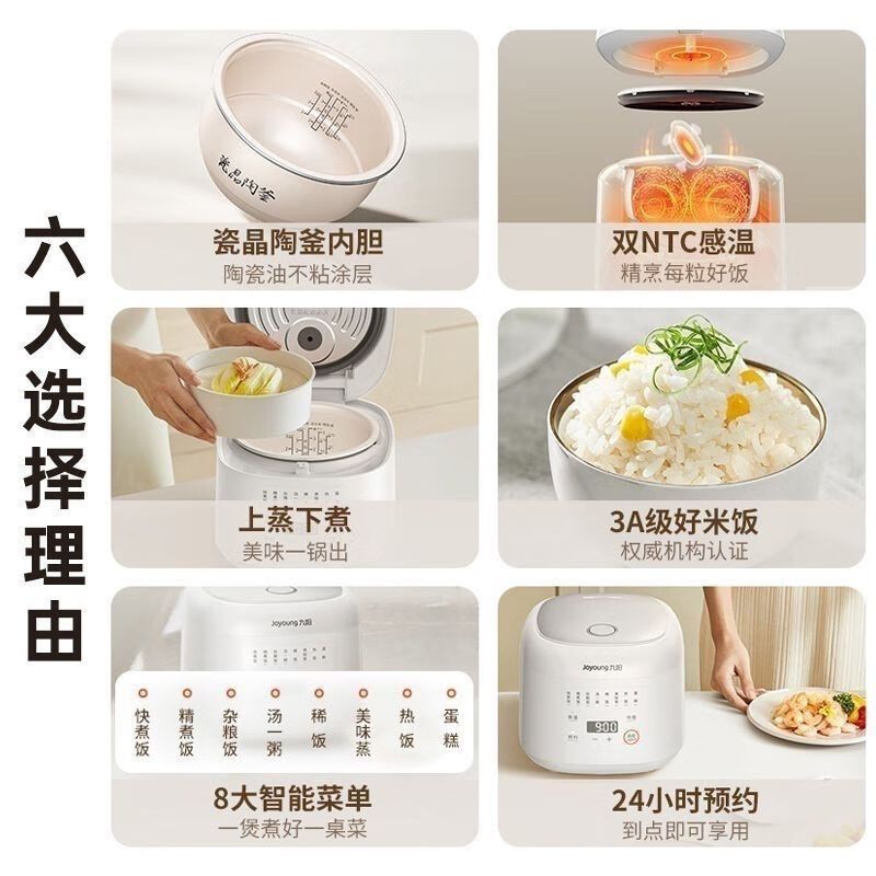 九阳小巧容量微压电饭煲F-20FY2高清大图