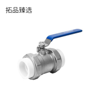 拓品臻选 PPR双活阀门 DN32 个