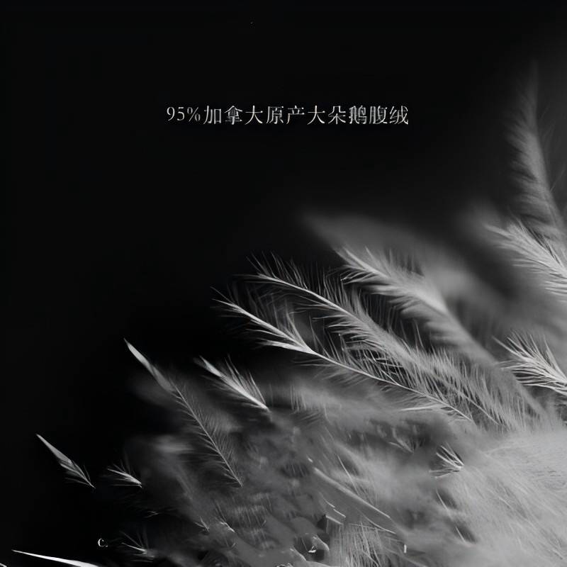 勤保特羽绒子母被二合一被子被芯两用白色200*230cm95鸭绒高清大图