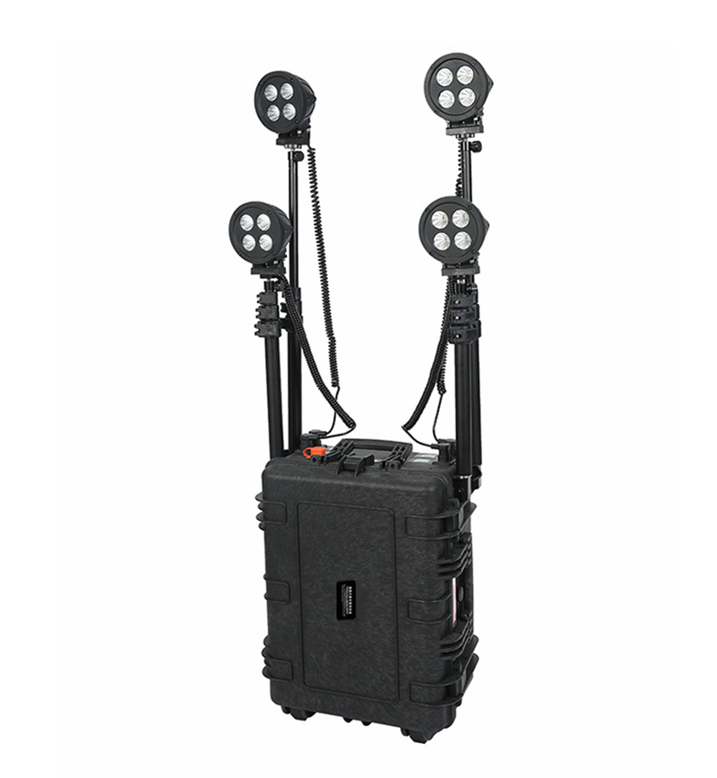 立华王(LihuaKing) LH5300D 4*40W、IP65、、电压DC12V高清大图
