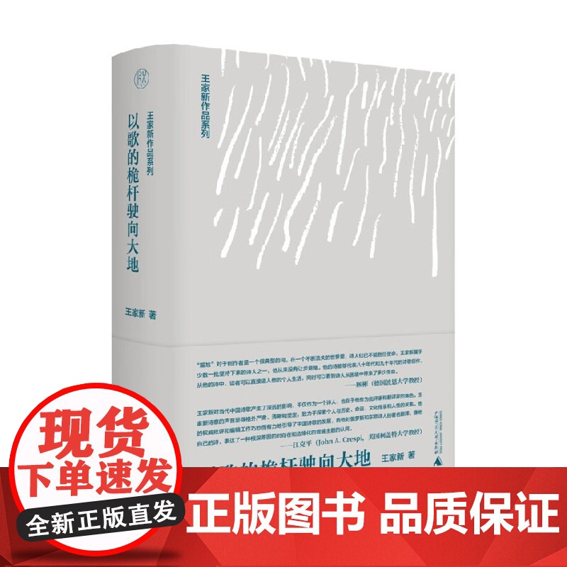 王家新作品系列 以歌的桅杆驶向大地 王家新 著 文学