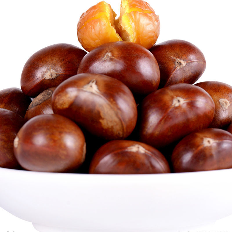 现摘新鲜板栗 当季新鲜沂蒙山板栗小油板栗去刺壳沂蒙山毛栗