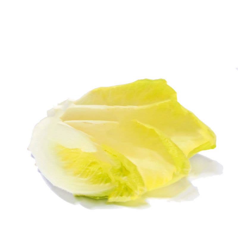 七果果 金玉兰500g 玉兰菜 苦白菜 西餐沙拉生菜 新鲜蔬菜AS图片
