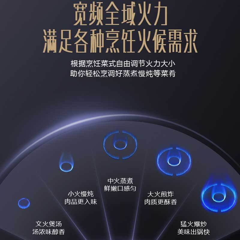 华帝(vatti)5.0KW大火力燃气灶天然气鸳鸯聚能炉灶可拆卸炉头嵌入式台式双灶具JZT-i10062B