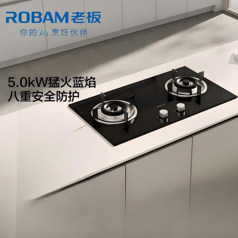 老板(Robam) 燃气灶 5.0kW 单灶具 双眼灶 燃气灶台嵌入式 天然气灶JZT-20B1A (天然气)高清大图