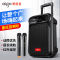 爱国者S55无咪版广场舞音响户外手提便携式蓝牙小音箱K歌家用唱歌店铺收款大音量
